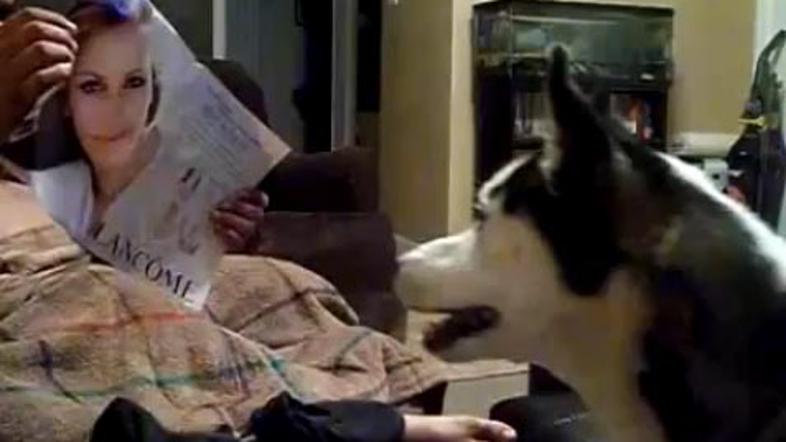 Huski, Julia Roberts