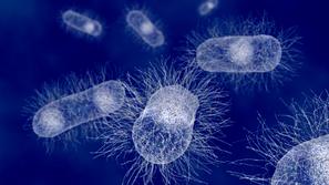 Prvi znak okužbe z E-coli je krvava driska. (Foto: Shutterstock)