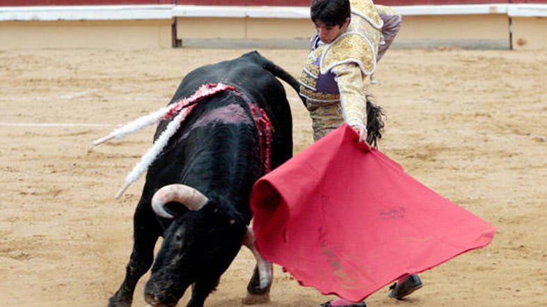 Jeseni bo znano, ali bodo Unescovi strokovnjaki razpravljali in odločali tudi o 