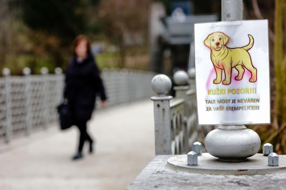 pes | Avtor: Saša Despot