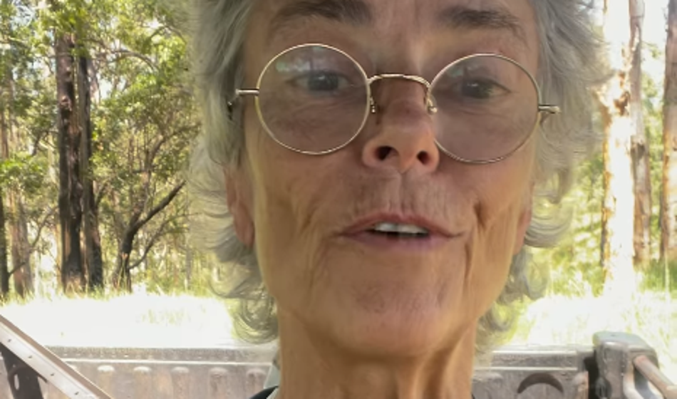 Jo prepoznate? Nekoč je veljala za eno najlepših igralk na svetu!