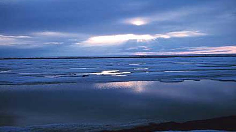 Jezero Teshekpuk je veliko močvirje, kjer gnezdijo številne ptice. Po načrtih iz