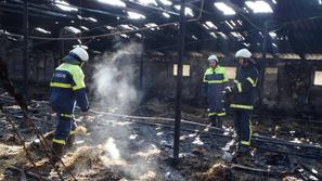 požar, farma piščancev, Hajdina, Ptuj