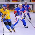 Reprezentanca Švedske, ki je v četrtfinalu premagala Slovenijo, je osvojila tret