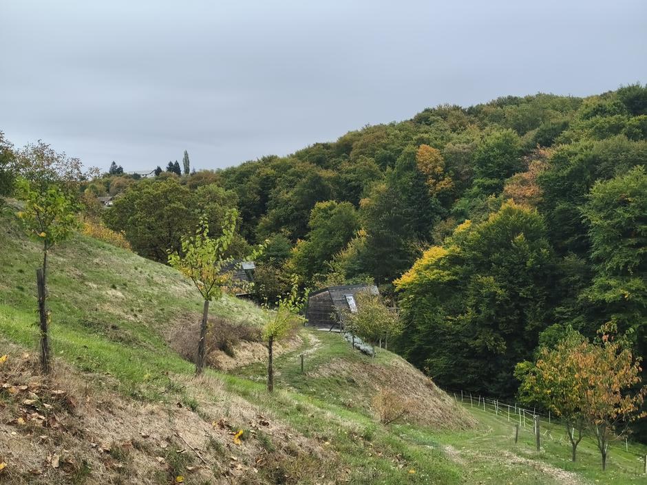 Posestvo sončni raj | Avtor: Žurnal24 