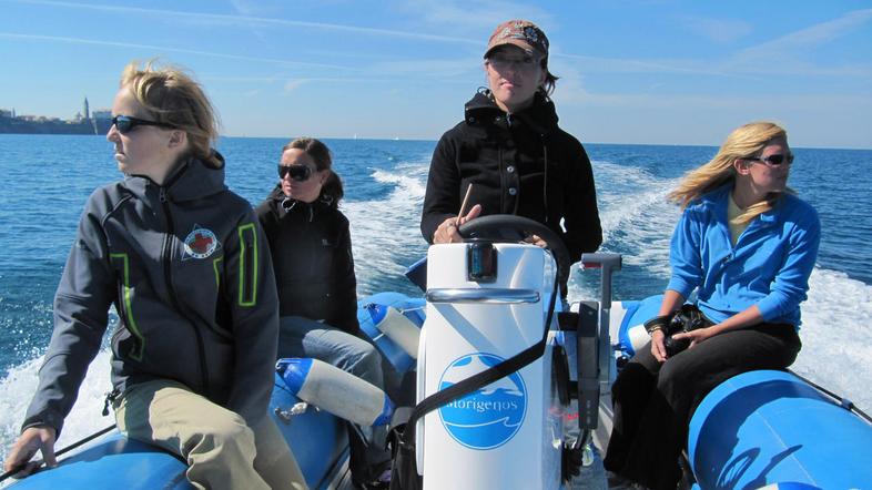 Aktivistke Morigenosa med sistematičnim opazovanjem naravnega rezervata Strunjan