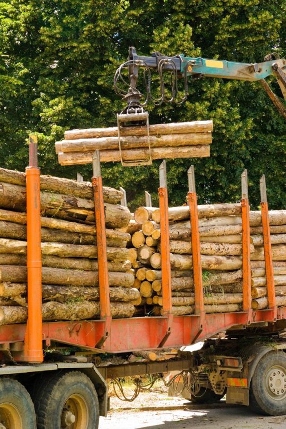 Novice: Na vidiku nova kriza - razno 13.12.12. hlodi, lesna industrija, zaga, drva, gozdarji, nakladalnik lesa, | Avtor: Shutterstock