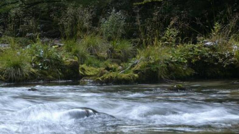 Identiteta moškega, ki je po vsej verjetnosti utonil v Savi, še ni znana.
