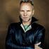 Sting
