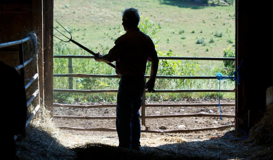 Iz ljubosumja ga je zabadal z vilami in polival z gnojnico