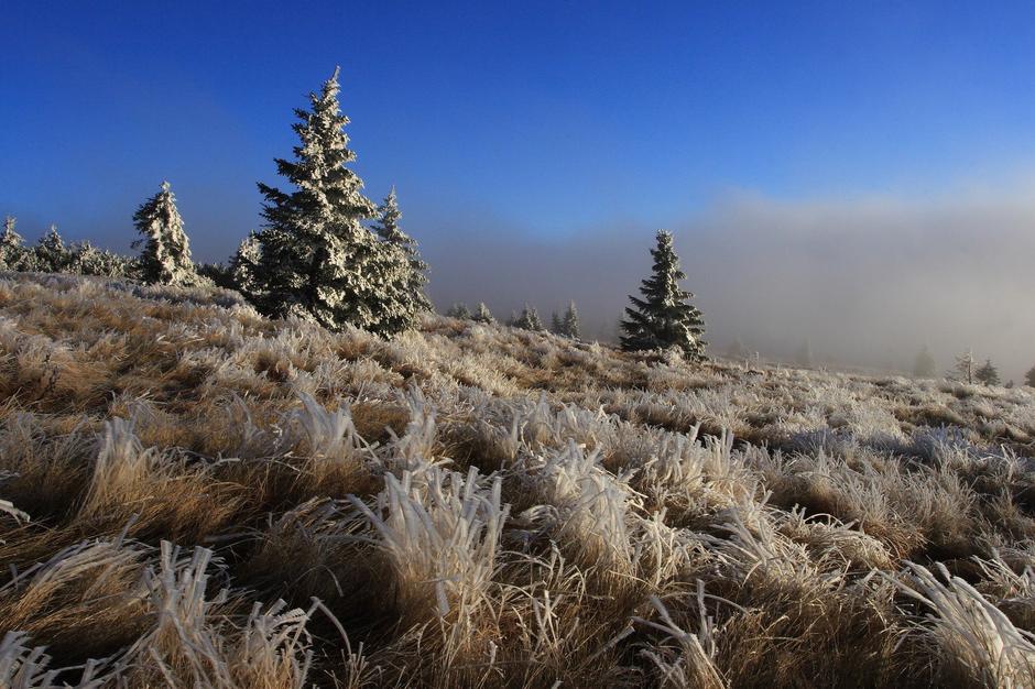 Slana | Avtor: Profimedia