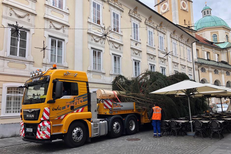 Novoletna jelka | Avtor: Anže Petkovšek