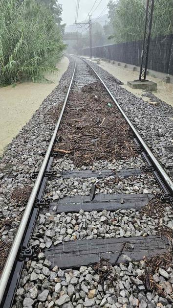 Neurje Rižana Koper