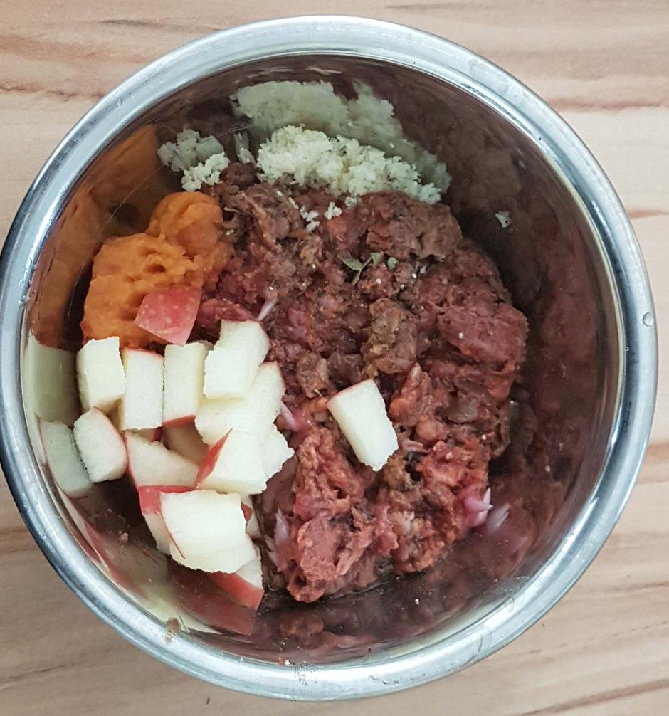 Zdrav pasji svet | Avtor: Osebni arhiv Katja Šneler