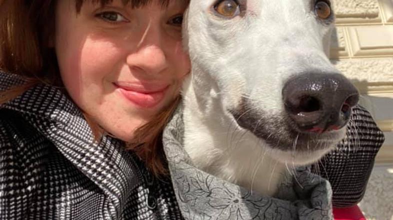 Novice: Golob Nike Kovač ni povabil. "Prizadelo me je." - Nika Kovač