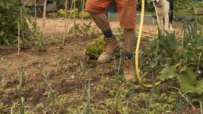 Vrtnarjenje, delo na vrtu