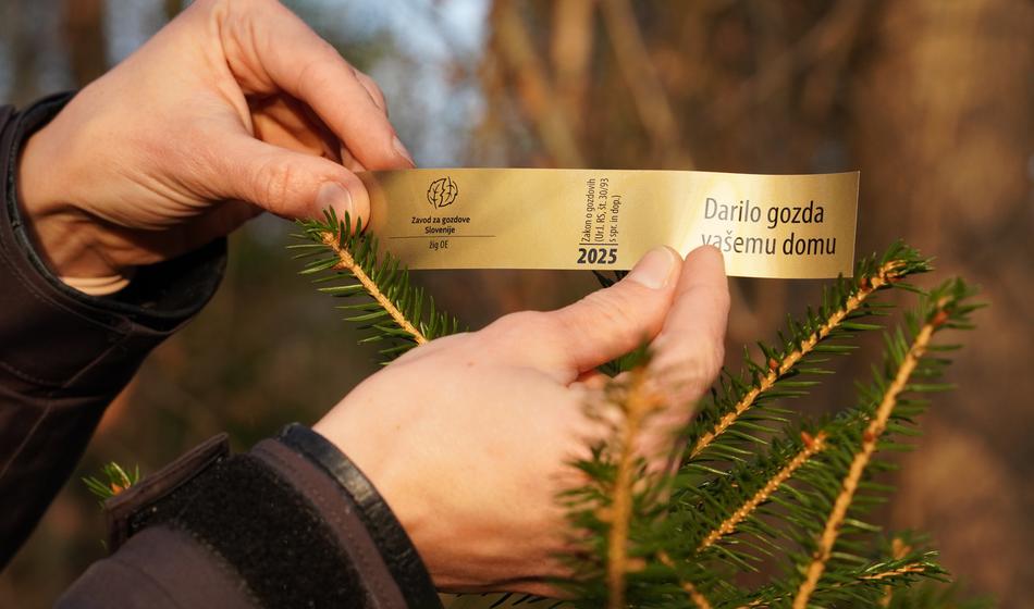 Zakaj je pomembno, da ima drevo zlato nalepko