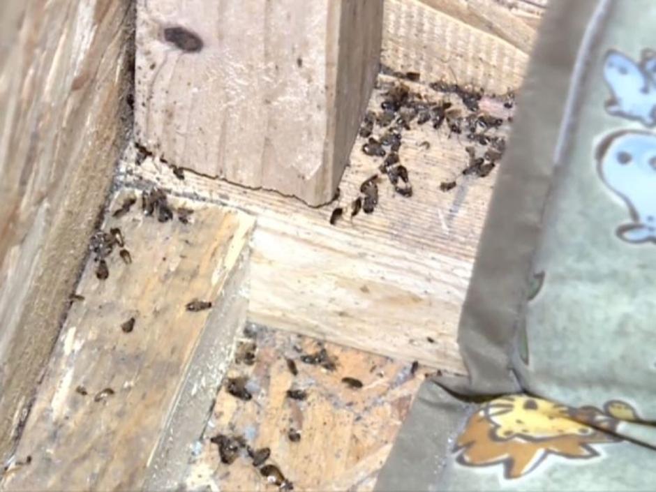 Škatla | Avtor: Ameriška policija