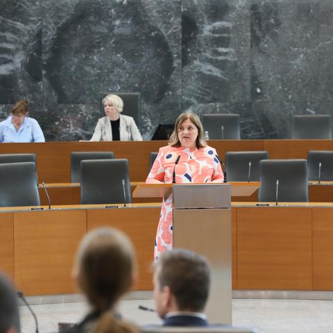 Prva izredna seja Državnega zbora, Državni zbor Tamara Vonta