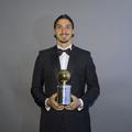 zlatan ibrahimović