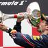 vn indije vettel