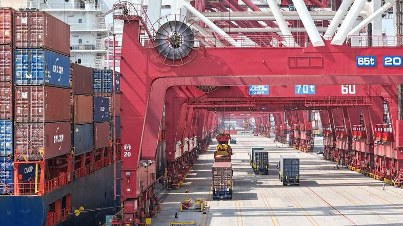 kontejnerski terminal pristanišče qingdao