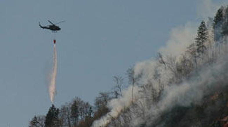 Največ požarov v naravi se v poletnih mesecih pojavi v juliju in avgustu.