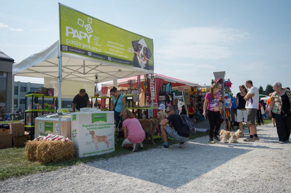 sejem 2016 | Avtor: Anže Petkovšek