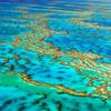 Velik koralni greben