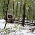 Slovenija 28.10.12, gozd, sneg, padavine, porusena drevesa, padla, drevo, foto: 
