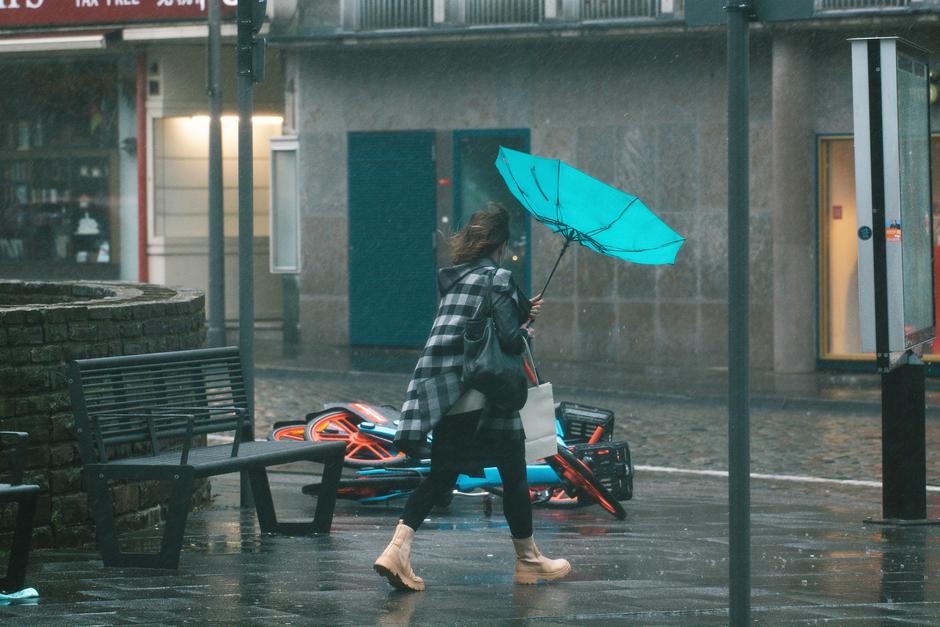 dež | Avtor: Profimedia