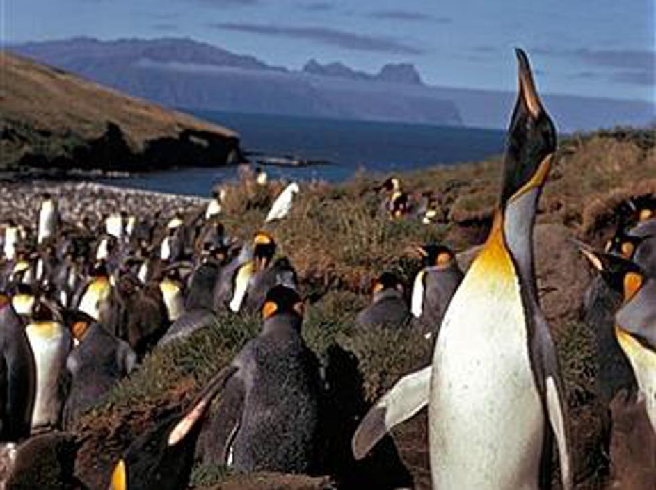 Antarktika je eden od tistih delov Zemlje, kjer so posledice podnebnih sprememb 