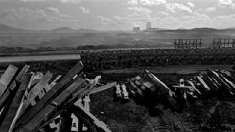 Festival bodo odprli z razstavo Fotonični trenutki.