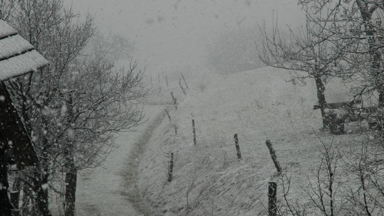 Zaradi snega so ponekod na Štajerskem še vedno brez elektrike.