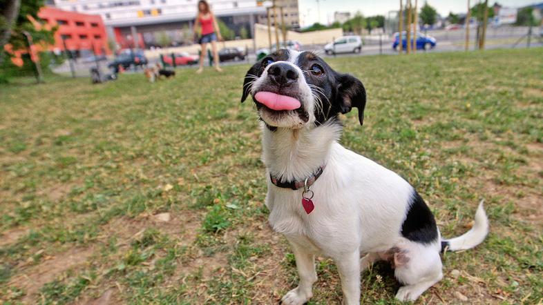 Žale želijo denar, ministrstvo pa pravi, da za plačilo ni pravne podlage. (Foto: