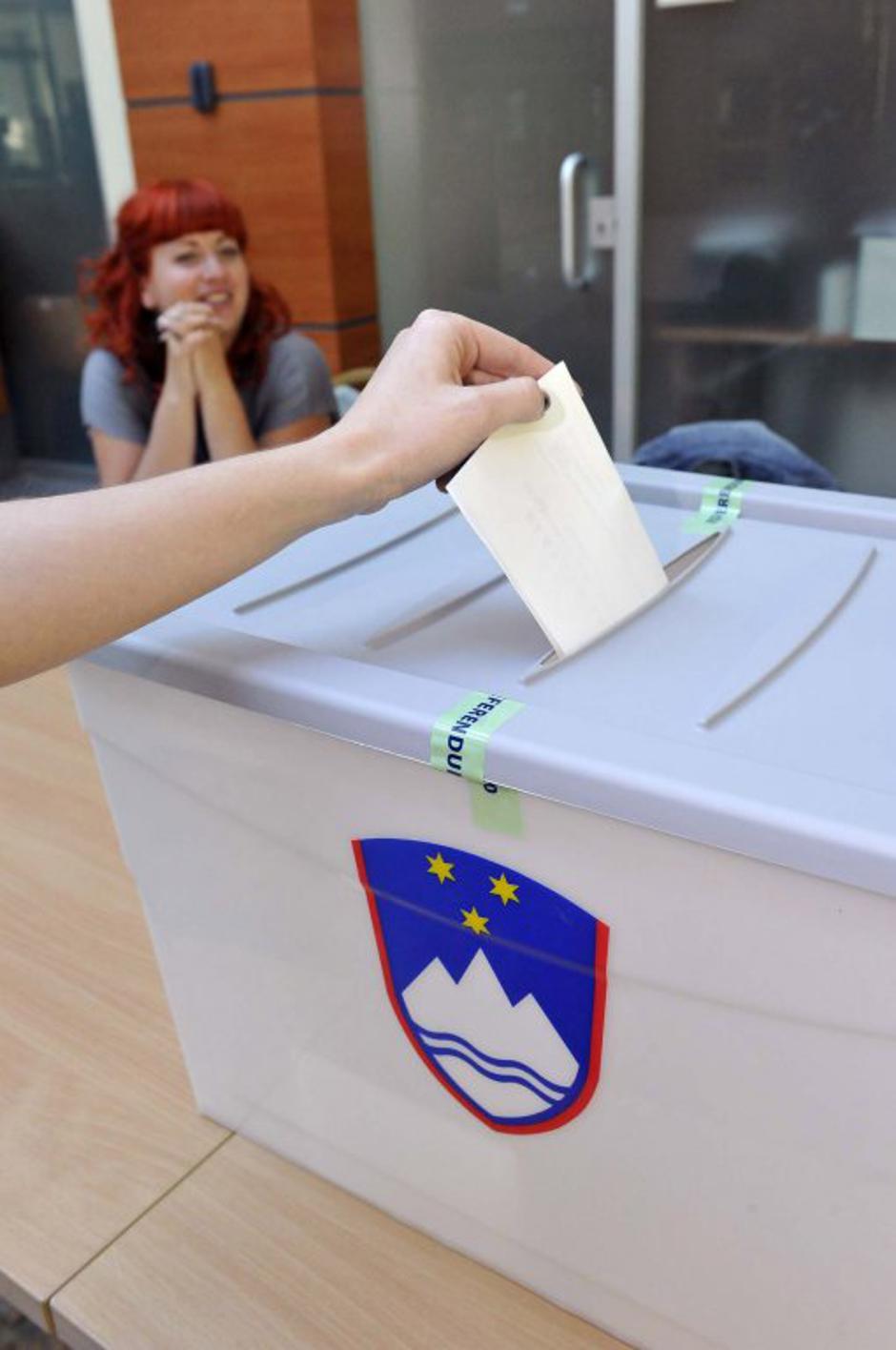 referendum, volilna skrinja | Avtor: Gregor Katič