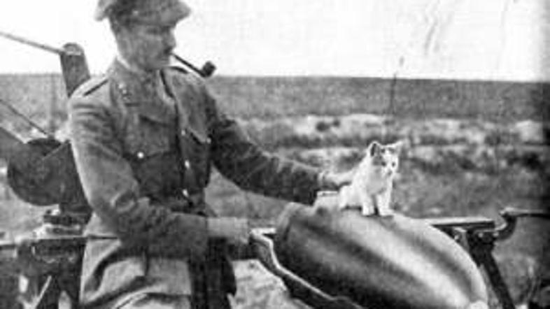 Med prvo svetovno vojno so mačke uporabljali v rovih in jarkih, saj so skrbeli, 