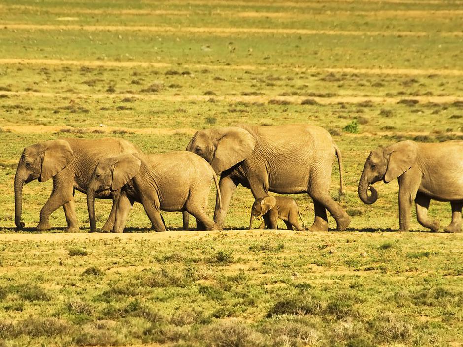  | Avtor: Žurnal24 main