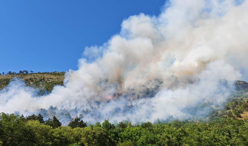 Na Krasu gori, razmere so resne, na terenu več kot sto gasilcev!