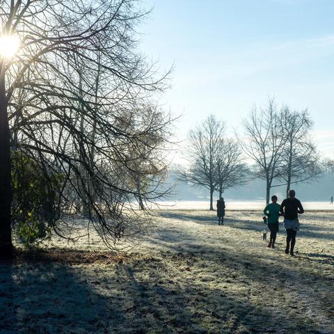 zima mraz zmrzal nizke temperature slana ivje