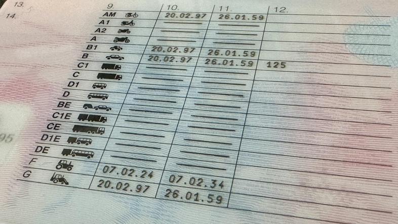 Vozniško dovoljenje