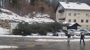 Novoletna smreka, božično drevesce, južni veter, poškodovani avti, Zgornje Jezersko