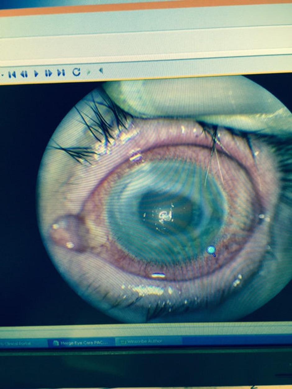 Stephen Souther | Avtor: Profimedias