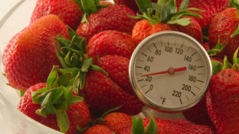 Sladke jagode z vrta shranite za pozimi.