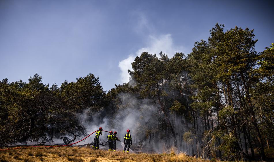 Gasilski poveljnik o velikem požaru na območju Bohinja: Gori podtalje