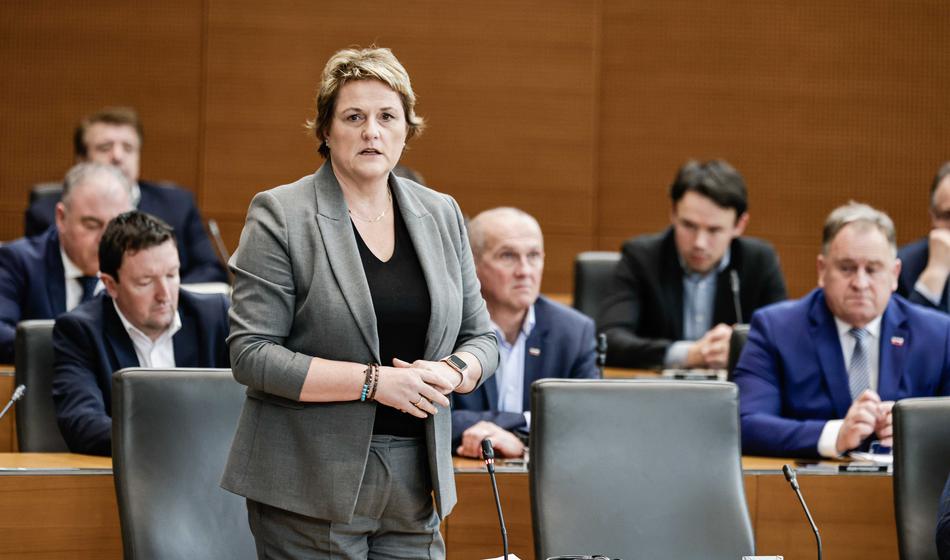 V koaliciji jezni: "Pa da vidimo, koliko državljanov je proti nižjim davkom"