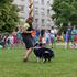 Festival za ljubitelje živali 2026