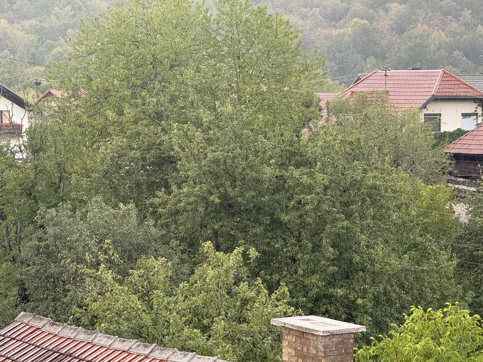 ploha dež naliv