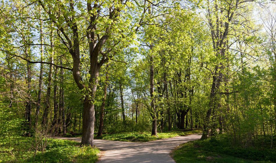 Anketirani opazili negativne spremembe v okolju, najbolj jih skrbijo podnebje, zrak in voda
