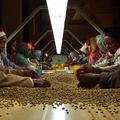 Film Črno zlato o svetovnem preprodajanju kave bodo predvajali v petek v Cankarj